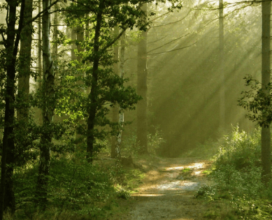 心里難受想哭的說說2021：你可以什么都聽，但不能什么都信