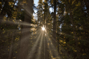 適合朋友圈最扎心的傷感說說：愿你是陽光，明媚不憂傷