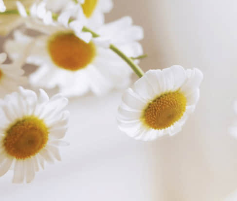 感到心碎的傷感說(shuō)說(shuō)（70條）