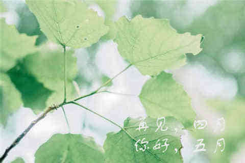 一個人說說看完哭了那種（74條）	