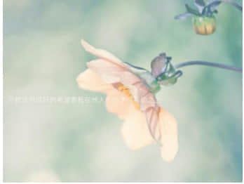 句句戳心的傷感說說（91條）