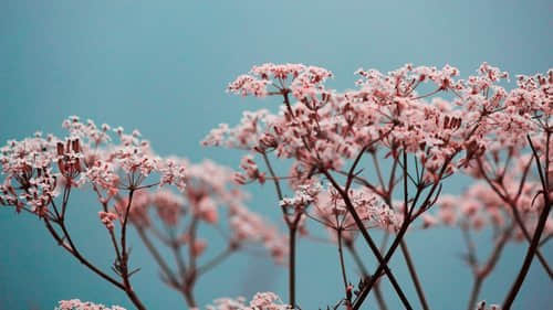 簡短扎心的傷感說說大全（82條）