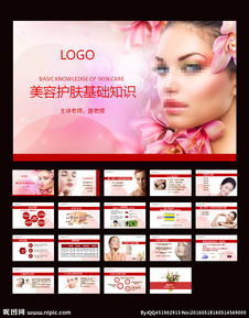 基礎(chǔ)美容專業(yè)知識ppt