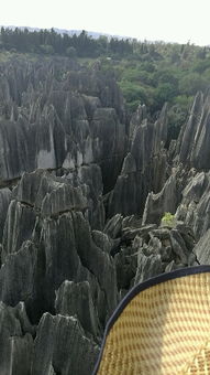 云南石林導(dǎo)游基礎(chǔ)知識