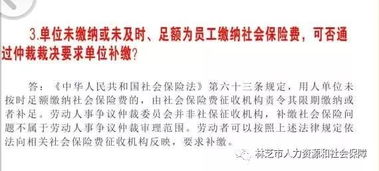 仲裁,基礎知識,人事,專業(yè)