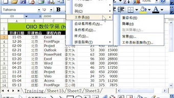 excel2007基礎(chǔ)知識(shí)大全
