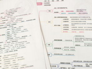 綜合知識和能力素質公共基礎知識
