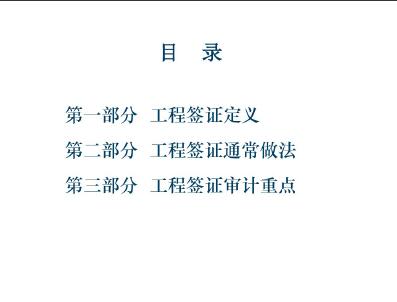 審計基礎(chǔ)知識講座doc