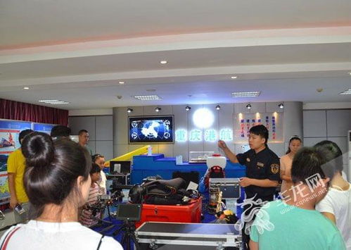 基礎(chǔ)知識,應(yīng)急救援,校園