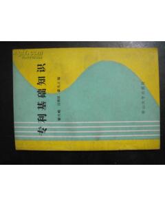 專利基礎(chǔ)知識(shí)pdf