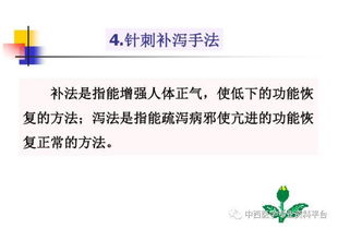 針名基礎(chǔ)知識(shí)