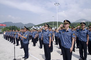 福建省交通綜合執(zhí)法專業(yè)基礎(chǔ)知識