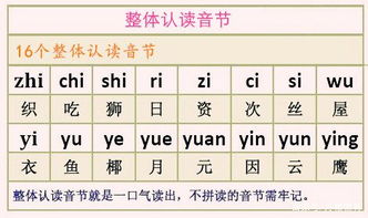 漢語拼音部分基礎(chǔ)知識測試,小學漢語拼音基礎(chǔ)知識,漢語拼音初學入門基礎(chǔ)知識