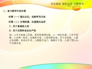 夯實基礎知識提高語文