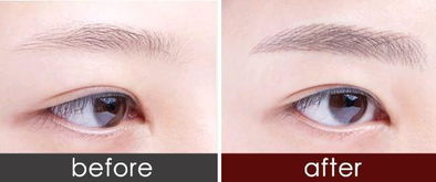 學(xué)紋眉毛基礎(chǔ)知識(shí)