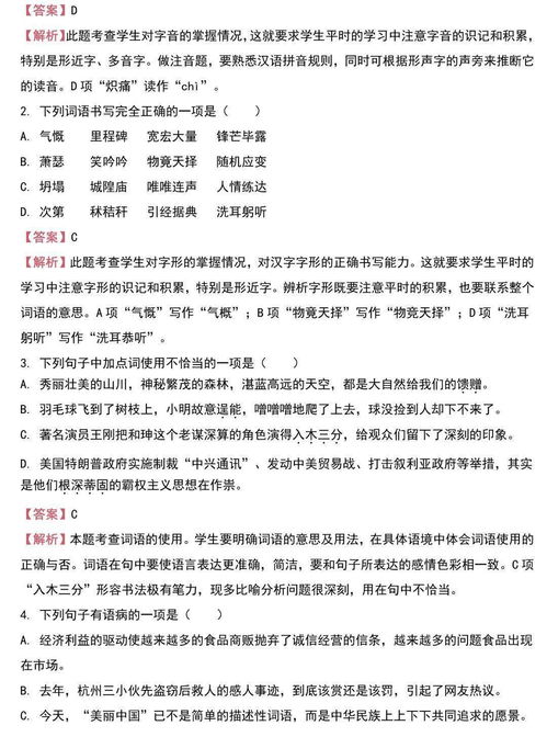 初中基礎(chǔ)知識專題