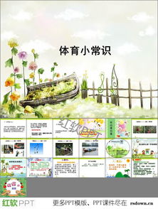 基礎(chǔ)知識(shí),體育,ppt