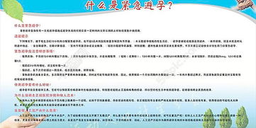 cdr設(shè)計(jì)基礎(chǔ)板面知識