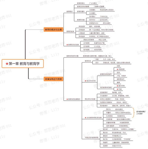 教育學(xué)基礎(chǔ)第三版知識(shí)點(diǎn)框架