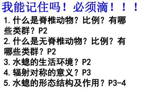 人教版初三圓的基礎知識