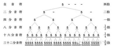 胡盧絲基礎知識