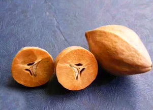 核雕技法基礎(chǔ)知識