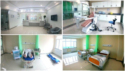 口腔醫(yī)學(xué)技術(shù)專(zhuān)業(yè)知識(shí)基礎(chǔ)知識(shí)