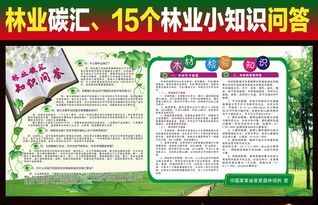 林業(yè)碳匯基礎(chǔ)知識問答