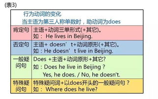 知識基礎(chǔ)英語怎么說