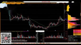 《股票基礎(chǔ)知識(shí)》pdf