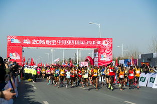 2017鄭開馬拉松志愿者基礎(chǔ)知識