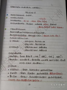 三香教育基礎(chǔ)知識講義