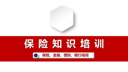 醫(yī)保,基礎(chǔ)知識,培訓(xùn)