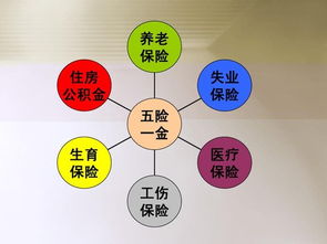 社會保險(xiǎn),基礎(chǔ)知識