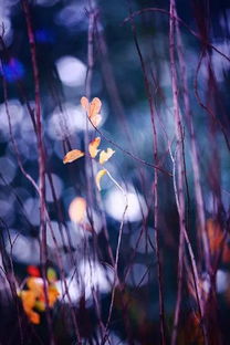 扎染,基礎(chǔ)知識