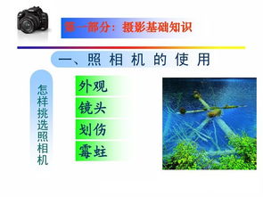 基礎(chǔ)知識(shí),講解,入門,攝影