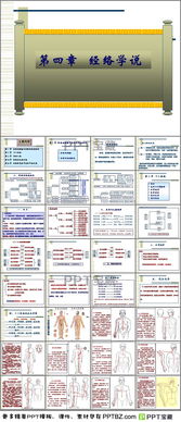中醫(yī)基礎(chǔ)理論知識(shí)經(jīng)絡(luò)ppt