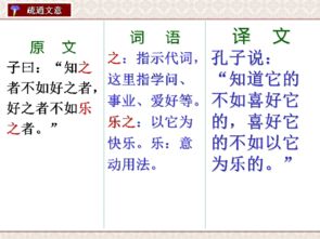 論語選讀基礎(chǔ)知識題三_(一)閱讀論語中的幾段文字