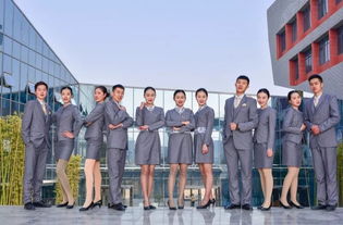 航空公司管理基礎(chǔ)知識(shí)