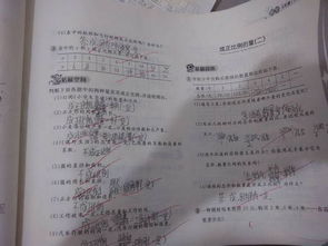 六年級(jí)下冊(cè)數(shù)學(xué)基礎(chǔ)知識(shí),六年級(jí)上冊(cè)數(shù)學(xué)基礎(chǔ)知識(shí),一到六年級(jí)數(shù)學(xué)基礎(chǔ)知識(shí)