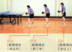 乒乓,基礎(chǔ)知識(shí)