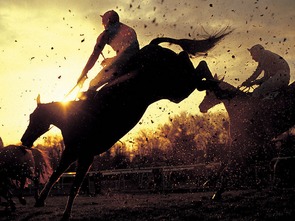 零基礎(chǔ)學(xué)馬術(shù),零基礎(chǔ)馬術(shù)入門課程,關(guān)于馬術(shù)的知識