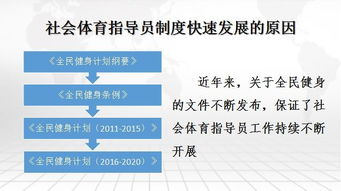 體育相關(guān)基礎(chǔ)知識(shí)