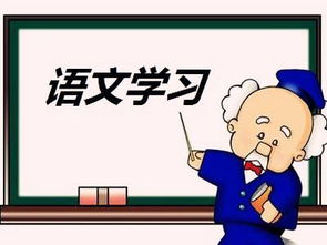成考語文本科基礎(chǔ)知識
