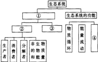 通過激素的調(diào)節(jié)基礎知識問題