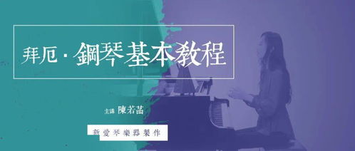 藝術(shù)系基礎(chǔ)知識(shí)網(wǎng)課