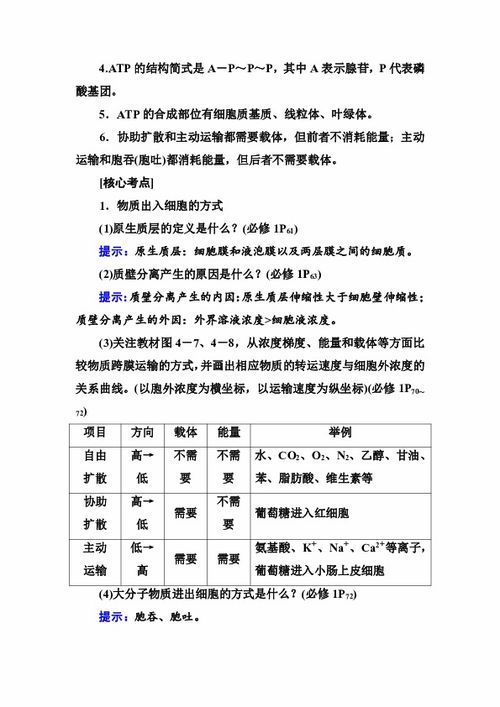 語句,基礎知識,重要性