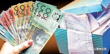 扣稅抵稅基礎(chǔ)知識