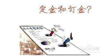 酒店的基礎(chǔ)知識有哪些