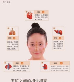 五行面診基礎(chǔ)知識